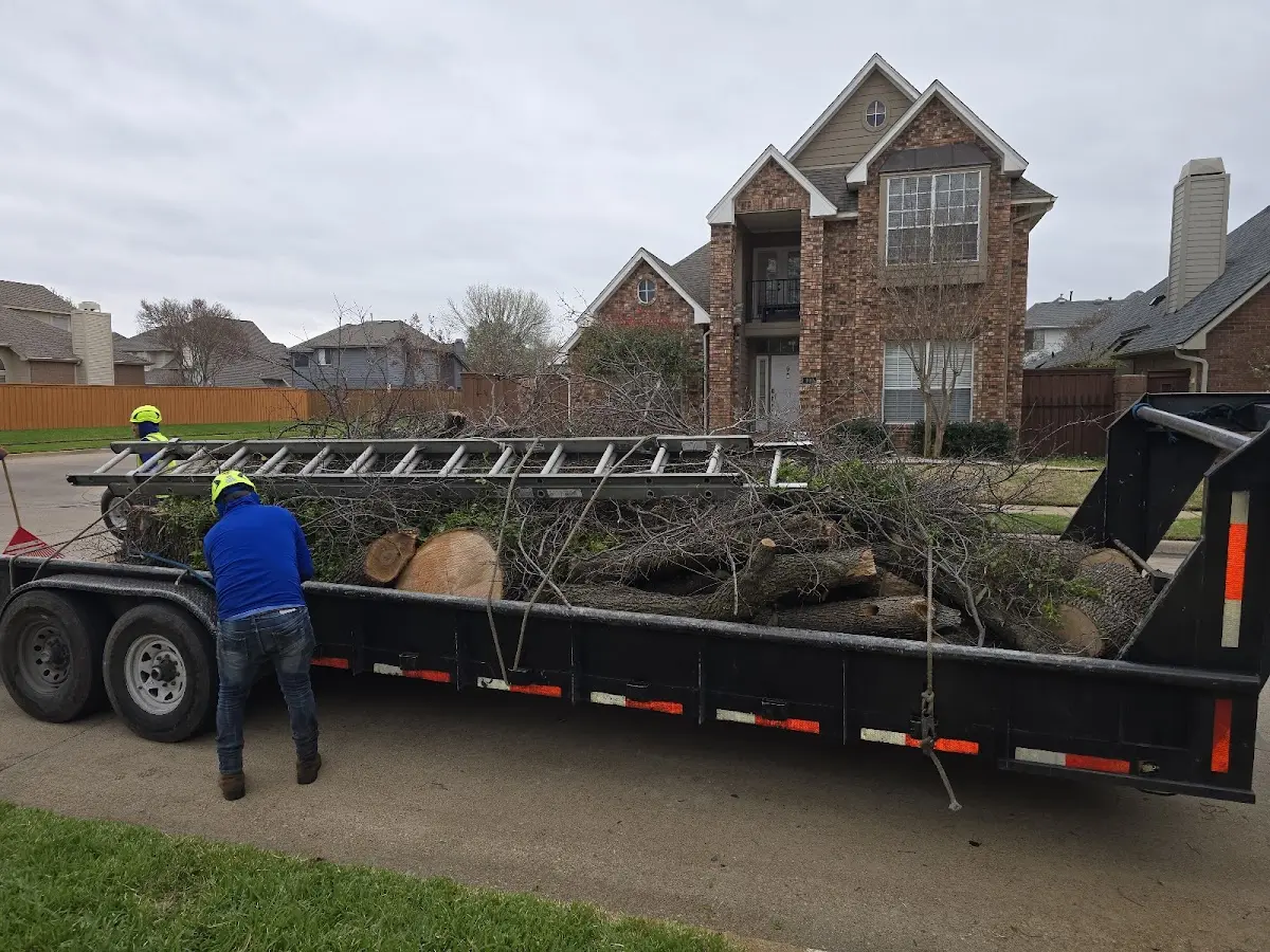 Expert Lot Clearing with proper safety equipment in Howell